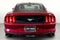 2015 Ford Mustang EcoBoost