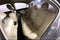 2011 Acura TSX 2.4