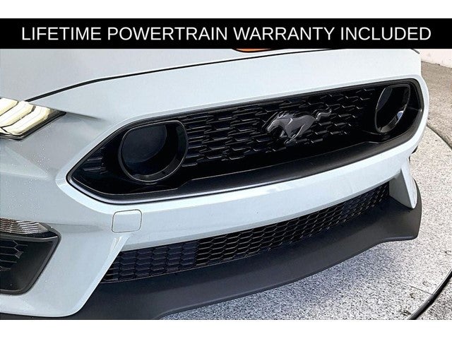 2021 Ford Mustang Mach 1