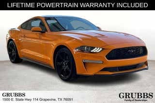 2019 Ford Mustang EcoBoost