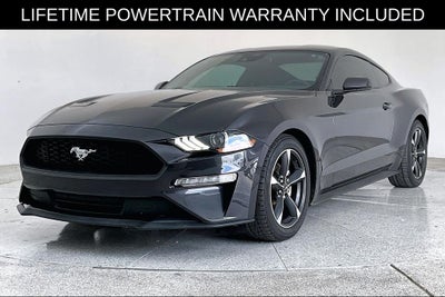 2023 Ford Mustang EcoBoost