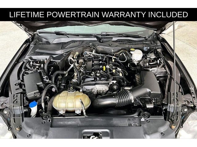 2023 Ford Mustang EcoBoost