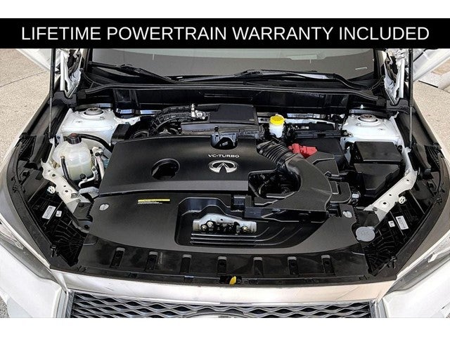 2023 INFINITI QX50 Autograph