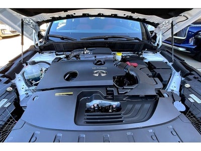 2025 INFINITI QX50 SPORT