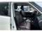 2024 INFINITI QX80 Premium Select