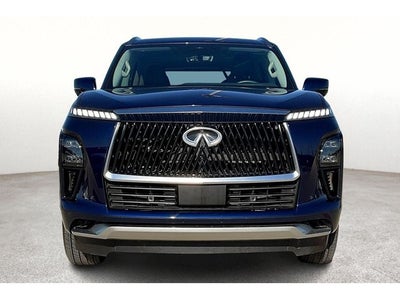 2025 INFINITI QX80 PURE