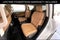2027 INFINITI QX80 LUXE
