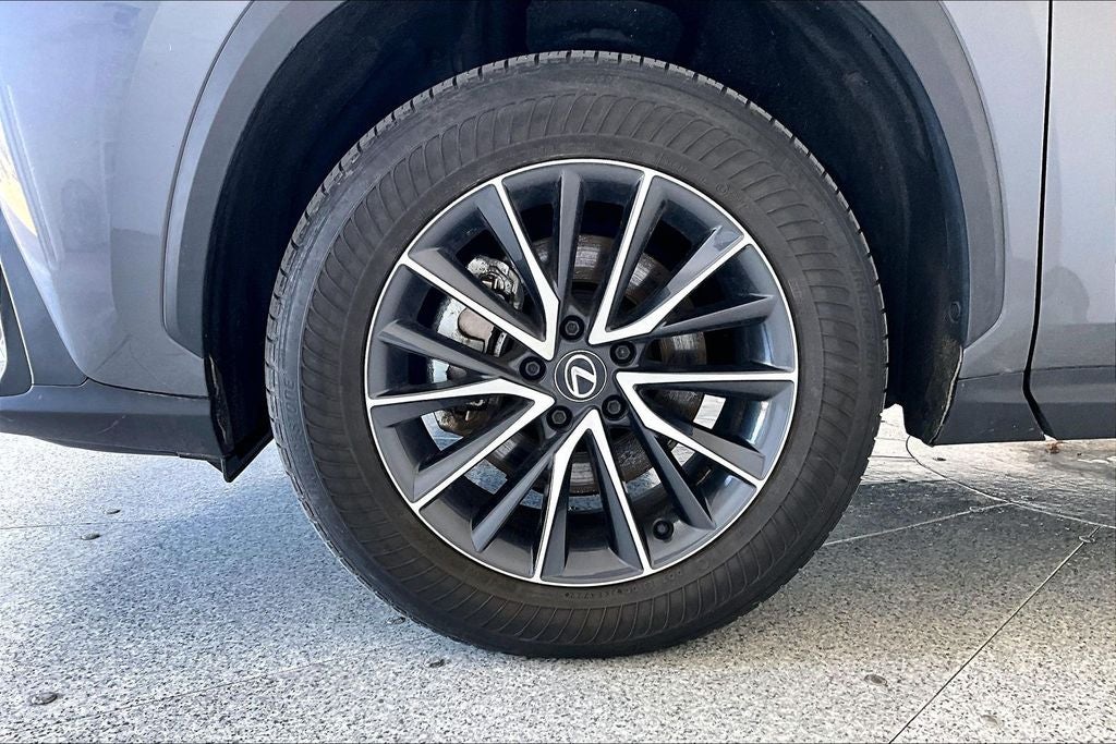 2024 Lexus NX 250