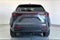 2024 Lexus NX 250