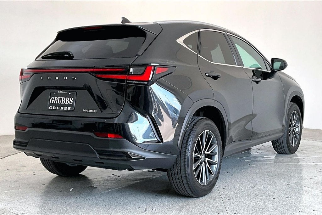 2025 Lexus NX 250 Premium