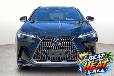 2025 Lexus NX 250 Premium