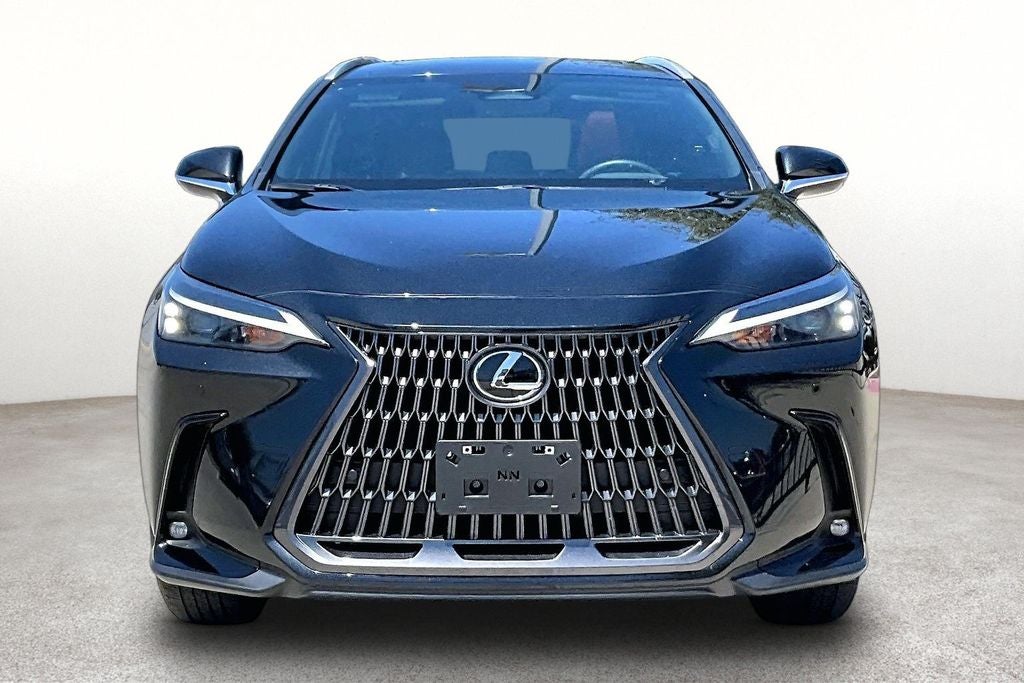 2025 Lexus NX 250 Premium