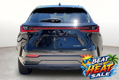 2025 Lexus NX 250 Premium