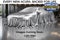 2026 Acura MDX Type S w/Advance Package SH-AWD