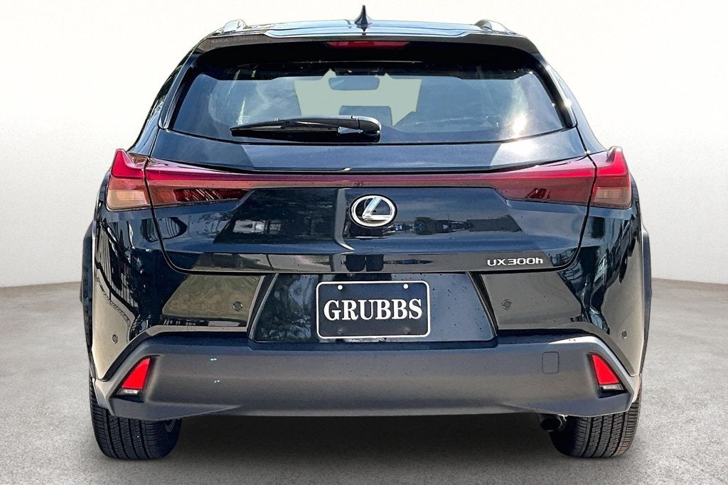 2025 Lexus UX 300h Premium