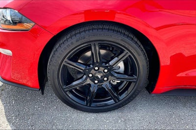 2019 Ford Mustang EcoBoost