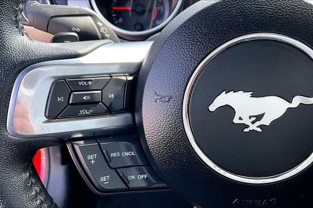 2019 Ford Mustang EcoBoost