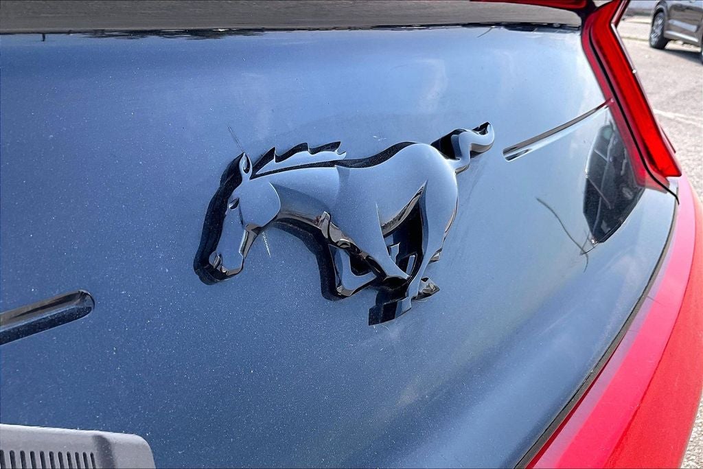 2019 Ford Mustang EcoBoost