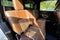2022 Nissan Titan Platinum Reserve