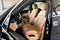 2022 Porsche Cayenne Platinum Edition