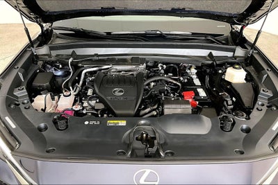 2025 Lexus TX 350 Premium