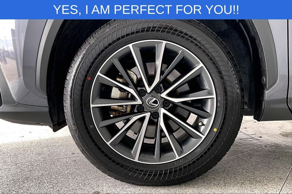 2023 Lexus NX 350h Base