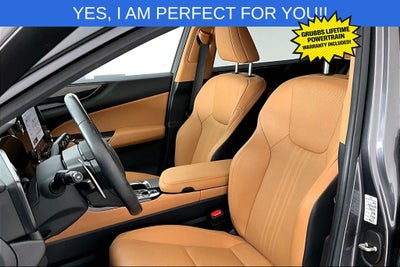 2023 Lexus NX 350h Base