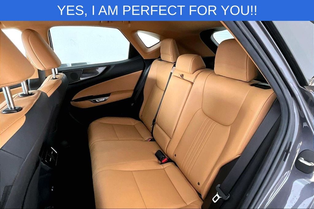 2023 Lexus NX 350h Base