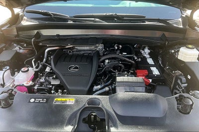 2024 Lexus TX 350 Premium