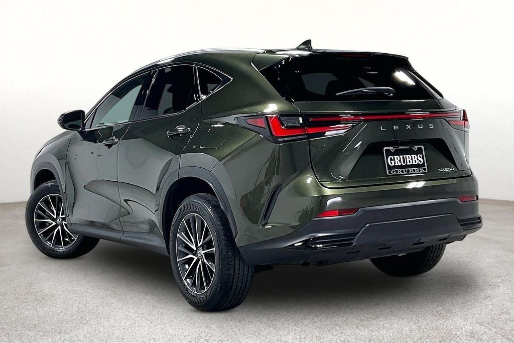 2024 Lexus NX 250 Premium