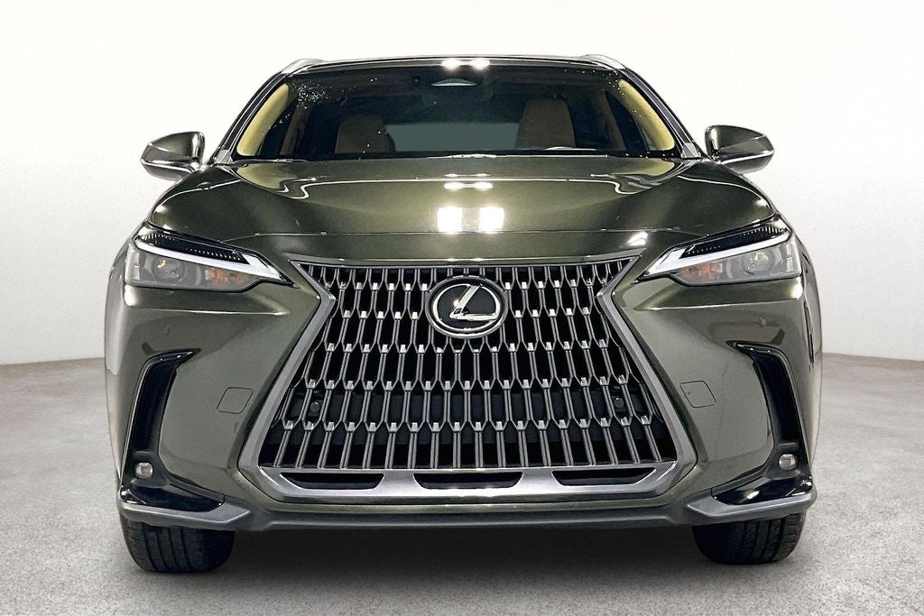 2024 Lexus NX 250 Premium