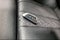 2023 BMW 5 Series 530i xDrive