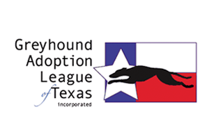 greyhoundadoptiontx